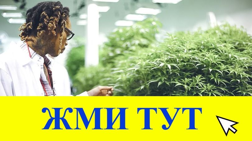 Купить наркотики в Реже